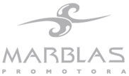 logo footer